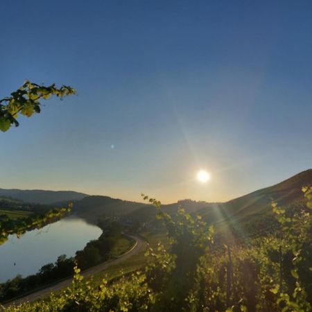 Ferienwohnungen Zum Niederberg Lieser Exteriör bild
