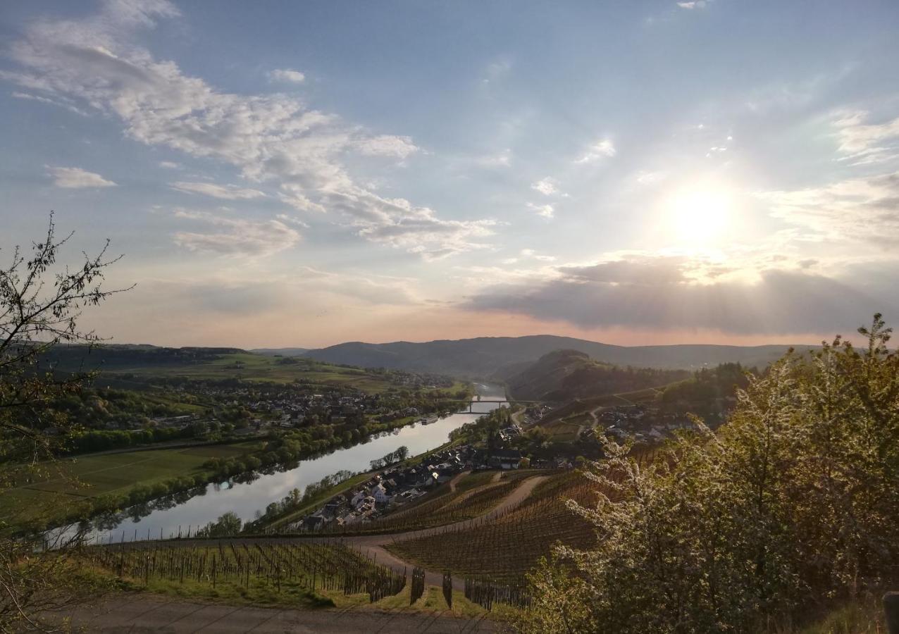 Ferienwohnungen Zum Niederberg Lieser Exteriör bild