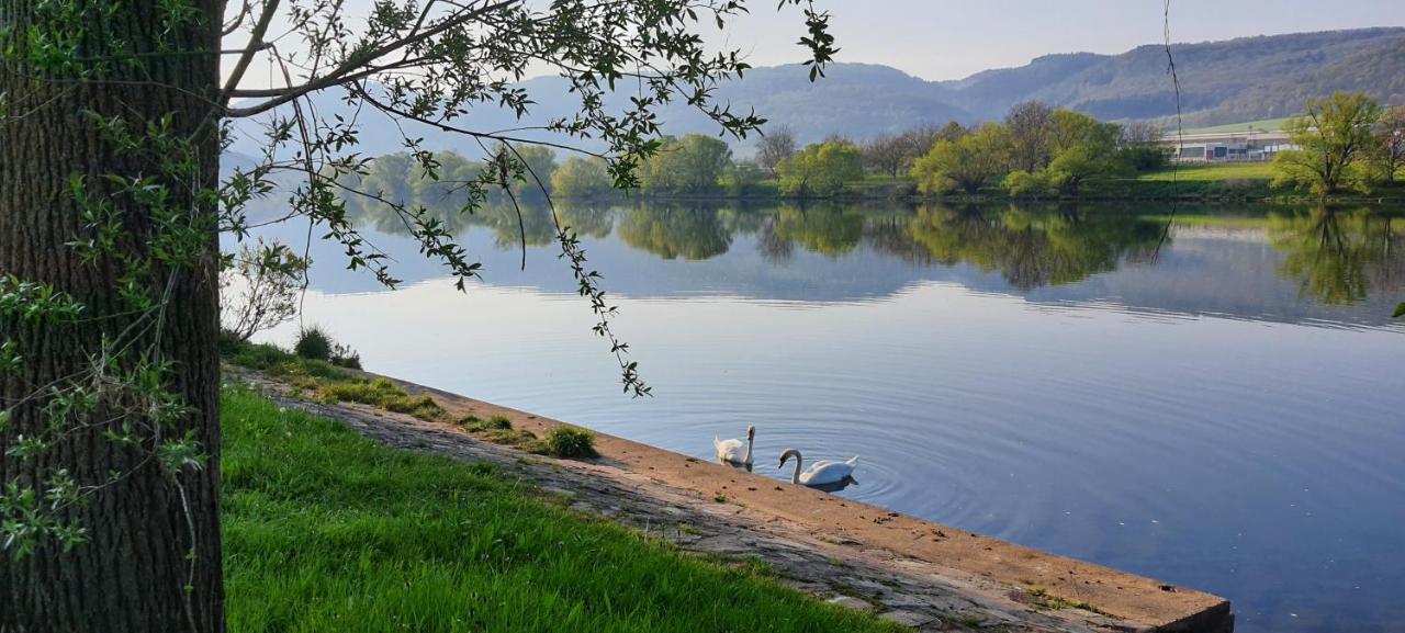 Ferienwohnungen Zum Niederberg Lieser Exteriör bild