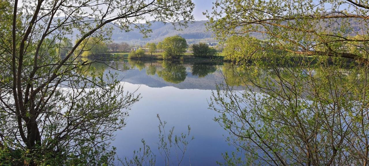 Ferienwohnungen Zum Niederberg Lieser Exteriör bild