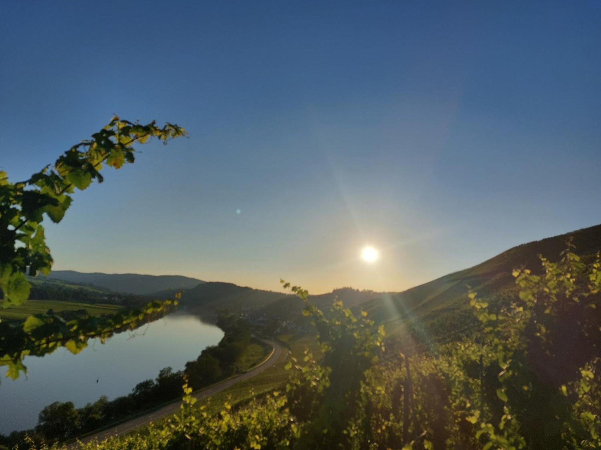 Ferienwohnungen Zum Niederberg Lieser Exteriör bild