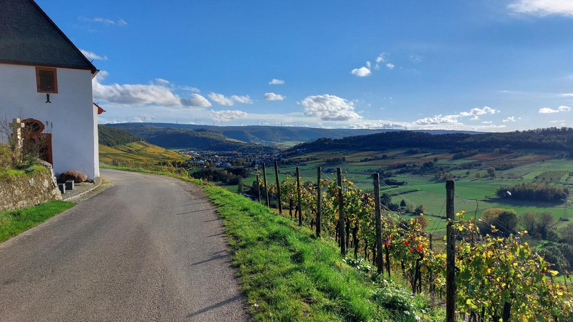 Ferienwohnungen Zum Niederberg Lieser Exteriör bild